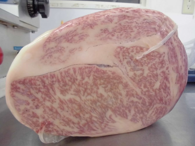 和牛A4厚身タチバラスライス例 和牛A4厚身タチバラスライス例